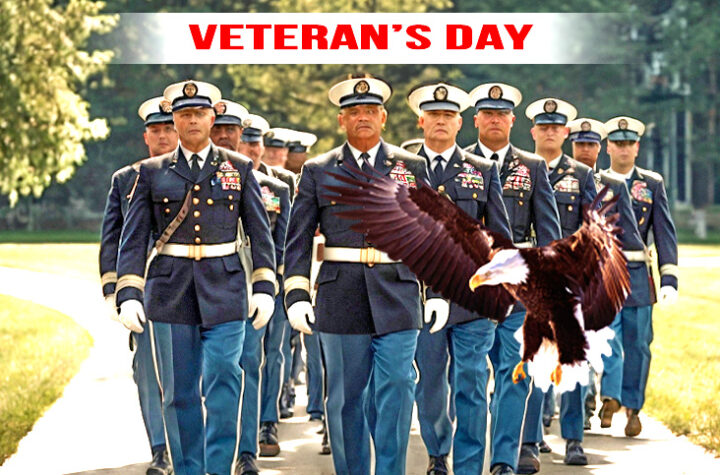 Veteran's Day