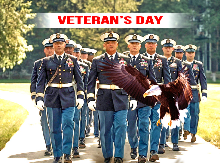 Veteran's Day